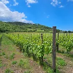 Giulia - Cilento - 別荘 *