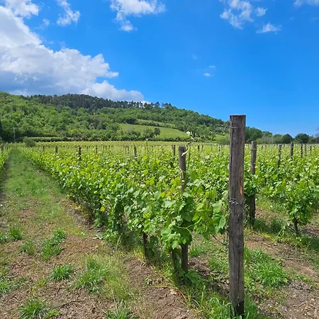 Giulia - Cilento - Дом отдыха *